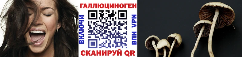 купить закладку  Пересвет  Псилоцибиновые грибы Psilocybine cubensis 